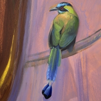 Clock-bird, 2026