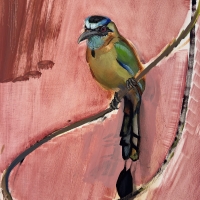 Lesson’s Motmot - Clockbird, 2026