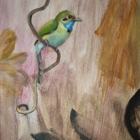 Blue-throated Motmot, 2026