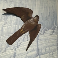detail: Prairie Falcon